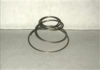 Spring; Foot Valve